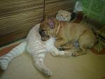     
: 160920115758.jpg
: 45
:	117.8 
ID:	3135967