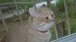     
: P1010241.jpg
: 25
:	124.3 
ID:	3136137