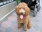     
: DSCF0960.jpg
: 13
:	140.4 
ID:	3141191