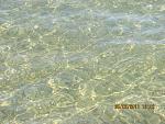     
: IMG_2345.jpg
: 29
:	173.4 
ID:	3144350