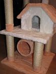     
: IMG_3314.jpg
: 171
:	74.1 
ID:	3144384