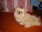     
: DSC08784.jpg
: 52
:	122.5 
ID:	3144798