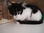     
: DSC04521.jpg
: 34
:	108.6 
ID:	3146285