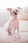     
: 272783--40533995-m750x740-uf497f.jpg
: 32
:	72.7 
ID:	3147275