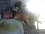     
: DSC01269.jpg
: 71
:	94.5 
ID:	3148463