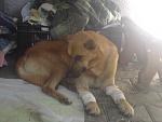     
: DSC01276.jpg
: 72
:	93.8 
ID:	3148464