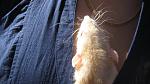     
: IMG_5953.jpg
: 20
:	117.5 
ID:	3148749