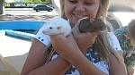     
: IMG_5955.jpg
: 19
:	89.1 
ID:	3148781