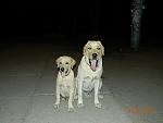     
: x_a2cbed42.jpg
: 33
:	52.7 
ID:	3149639