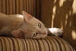     
: DSC02557.jpg
: 39
:	107.3 
ID:	3152236
