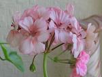     
: IMG_8054.jpg
: 71
:	90.3 
ID:	3155292