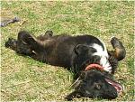     
: Новый рисунок (1).jpg
: 57
:	151.9 
ID:	3155668