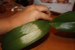     
: IMG_1836.jpg
: 32
:	59.2 
ID:	3156177