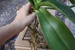     
: IMG_1844.jpg
: 22
:	111.2 
ID:	3156344
