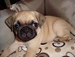     
: DSC02308.JPG
: 37
:	148.3 
ID:	3158694