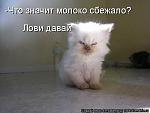     
: kotomatrix_23.jpg
: 47
:	38.6 
ID:	3163877