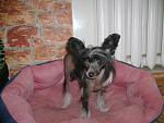     
: DSC00975.jpg
: 26
:	101.7 
ID:	3164665