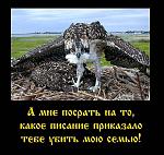     
: Cокол.jpg
: 321
:	127.5 
ID:	3167240