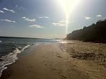     
: x_53731348.jpg
: 91
:	79.5 
ID:	3174507