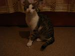     
: DSC04537.jpg
: 28
:	98.5 
ID:	3177077
