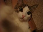     
: DSC04547.jpg
: 33
:	86.8 
ID:	3177078