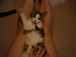     
: DSC04546.jpg
: 35
:	98.3 
ID:	3177082