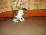     
: DSC04549.jpg
: 27
:	178.2 
ID:	3177085