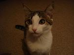     
: DSC04540.jpg
: 21
:	94.8 
ID:	3177086