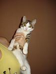     
: DSC04551.jpg
: 24
:	54.5 
ID:	3177114