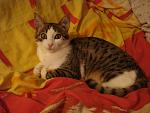     
: DSC04535.jpg
: 41
:	125.5 
ID:	3177121
