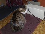     
: 03102011473v.jpg
: 88
:	224.7 
ID:	3178824