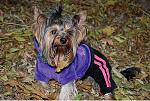     
: Безымянный.JPG
: 37
:	74.3 
ID:	3180775
