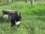     
: IMG_5679.jpg
: 17
:	233.7 
ID:	3184387