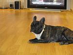     
: IMG_5579.jpg
: 18
:	106.9 
ID:	3184389