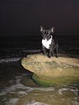     
: IMG_6208.jpg
: 21
:	76.7 
ID:	3184402