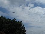     
: IMG_1942.jpg
: 26
:	72.2 
ID:	3184590