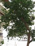     
: IMG_1923.jpg
: 22
:	188.9 
ID:	3184650