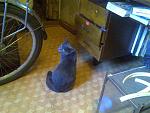     
: Фото052.jpg
: 97
:	179.2 
ID:	3186129