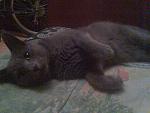     
: 23.09.2011г (17).jpg
: 119
:	164.1 
ID:	3186130