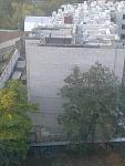     
: Фото0190.jpg
: 53
:	117.0 
ID:	3186587