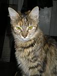     
: P1010331.jpg
: 11
:	110.0 
ID:	3187247