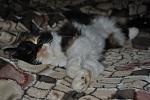     
: DSC_2528.JPG
: 34
:	76.5 
ID:	3188496