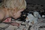     
: DSC_2530.JPG
: 32
:	76.7 
ID:	3188503