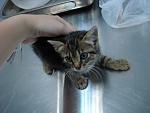     
: DSC04579.jpg
: 32
:	88.5 
ID:	3196236