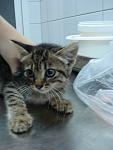     
: DSC04578.jpg
: 41
:	56.3 
ID:	3196241