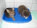    
: DSC04574.jpg
: 54
:	119.0 
ID:	3196246