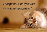     
: 1311100568_74645720_366.jpg
: 4
:	177.6 
ID:	3198019