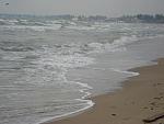     
: DSC05272.jpg
: 30
:	116.3 
ID:	3199600