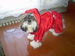     
: P8290283.JPG
: 32
:	33.5 
ID:	3200515