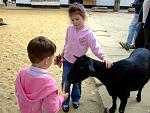     
: DSCF5859.JPG
: 33
:	131.7 
ID:	3200716